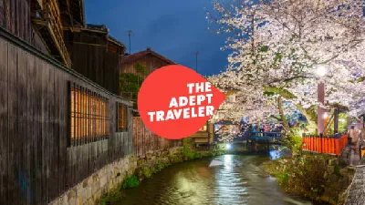 Discover the Magic of the Japanese Cherry Blossom Season: A Guide for Travelers