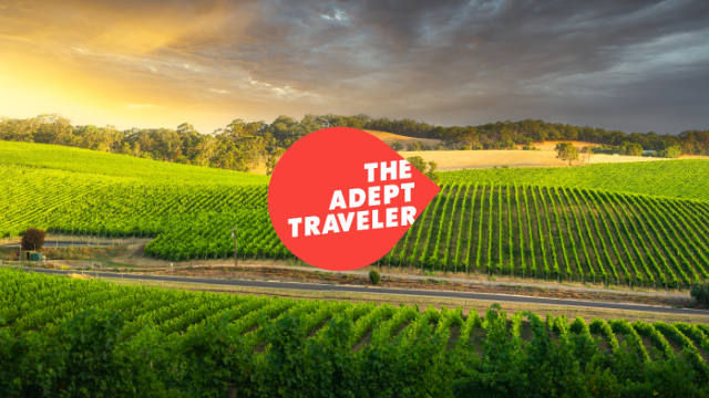 Vineyard in Southern Australia