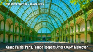 Grand Palais renovation glass roof interior in Paris cultural attraction