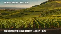 Champagne vineyards near Reims illustrating Avanti Destinations’ culinary tours