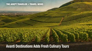 Champagne vineyards near Reims illustrating Avanti Destinations’ culinary tours