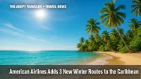 American Airlines winter routes invite travelers to a palm-lined Caribbean beach under bright blue skies.