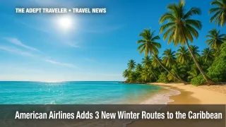 American Airlines winter routes invite travelers to a palm-lined Caribbean beach under bright blue skies.