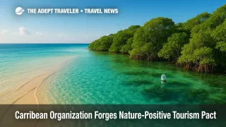 Aerial view of lush mangroves and turquoise shallows illustrates nature-positive tourism in the Caribbean.