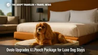 Dog rests on Ovolo V.I.Pooch bed beside Frank Green bowls in stylish pet-friendly hotel room.