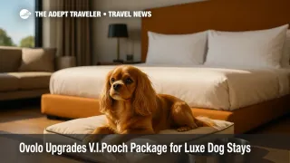 Dog rests on Ovolo V.I.Pooch bed beside Frank Green bowls in stylish pet-friendly hotel room.
