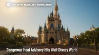 Cinderella Castle shimmers in midday heat at Walt Disney World, illustrating the resort's heat advisory conditions.