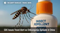Aedes albopictus mosquito on a repellant bottle highlights traveler precautions against the chikungunya outbreak.