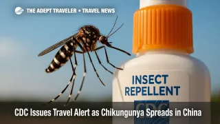Aedes albopictus mosquito on a repellant bottle highlights traveler precautions against the chikungunya outbreak.