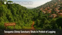 Aerial view shows Tacugama Chimpanzee Sanctuary forest giving way to new hillside homes, illustrating Sierra Leone deforestation and the chimpanzee refuge's closure protest.