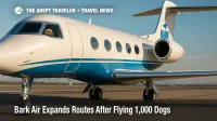 Gulfstream G5 with two dogs looking out a window while parked, illustrating Bark Air's dog-first airline expansion.
