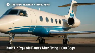 Gulfstream G5 with two dogs looking out a window while parked, illustrating Bark Air's dog-first airline expansion.