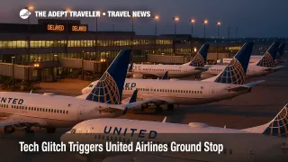 United narrow-body jets sit idle at Chicago O'Hare gates under twilight lights after a technology-linked United Airlines ground stop.