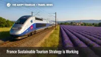 A TGV speeds through Provence beside lavender fields, illustrating rail travel's role in France sustainable tourism and regional dispersion.