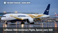 Lufthansa 100th anniversary flights, a 787-9 in special livery taxis at Frankfurt Airport at dusk