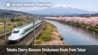 Tohoku cherry blossom Shinkansen route planning image, train passes riverside sakura with snowy peaks beyond