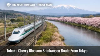 Tohoku cherry blossom Shinkansen route planning image, train passes riverside sakura with snowy peaks beyond