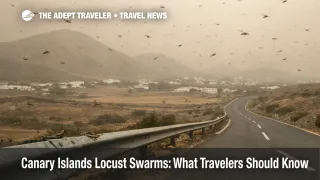 Canary Islands locust swarms over a hazy Lanzarote roadside during calima, with insects drifting above low hills
