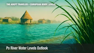 Misty reed-lined lagoon huts in the Po Delta, viewed from low aerial angle above deep aqua water, tall emerald reeds bending into the frame, weathered driftwood texture overlay, bright midday sun and crisp shadows.