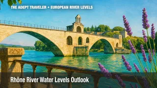 Pont Saint-Bénézet arching over the deep aqua Rhône River, rustic stone balustrade and flowering lavender sprigs in the foreground, lavender blossom texture overlay, bright midday sun and crisp shadows.